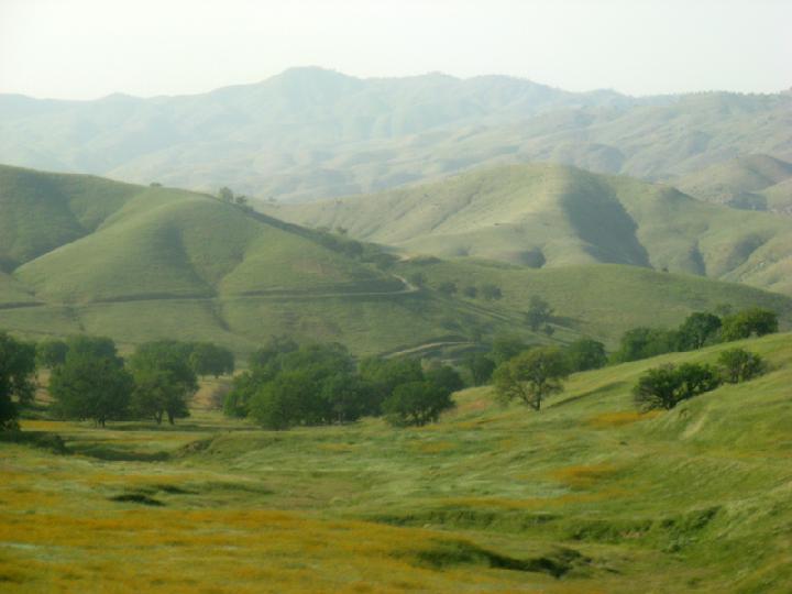 17-Californie 0004.JPG